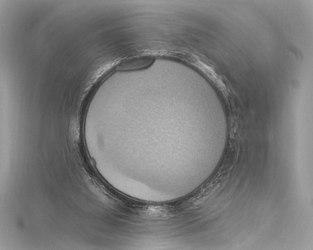 X0000115560060200912041101