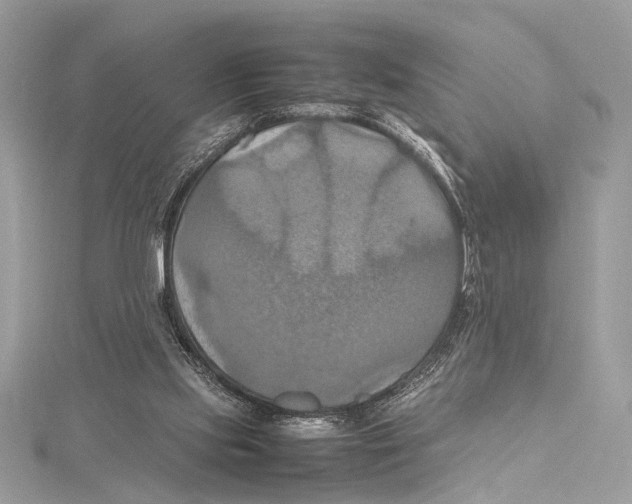 X0000115560061200912041102