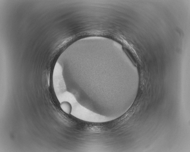 X0000115560062200912041102