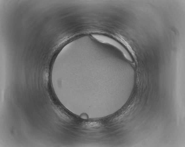 X0000115560063200912041102