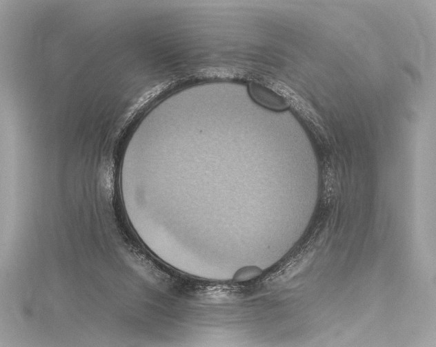 X0000115560064200912041102