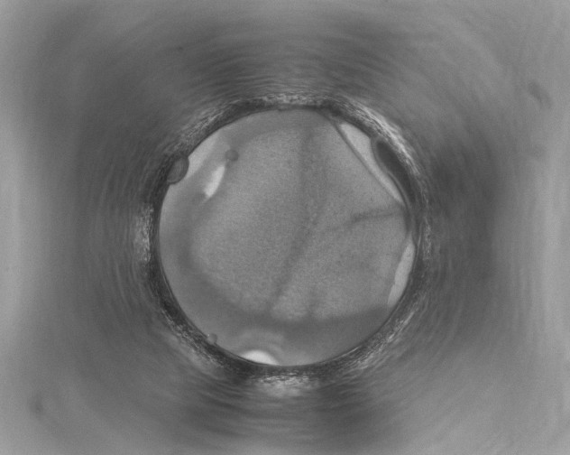 X0000115560065200912041102