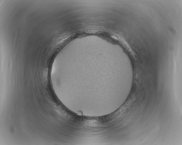 X0000115560066200912041102