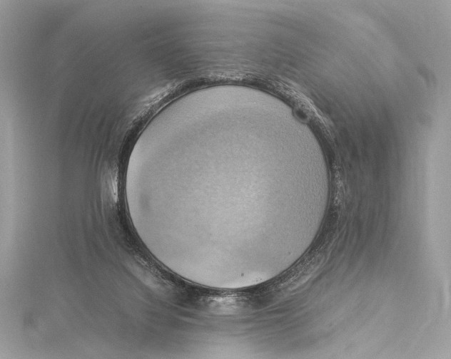 X0000115560068200912041102