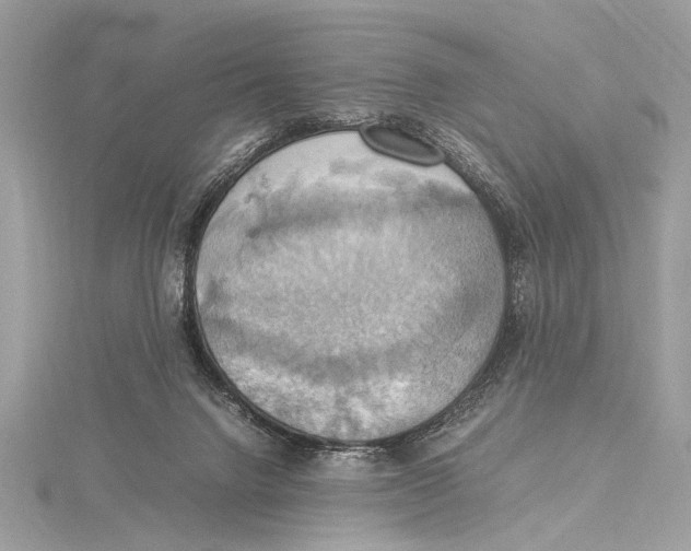 X0000115560072200912041102