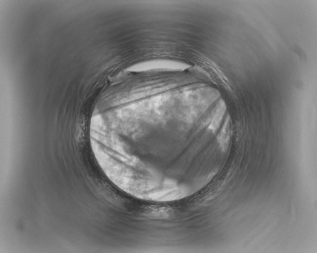 X0000115560073200912041102