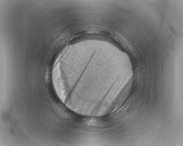 X0000115560074200912041102