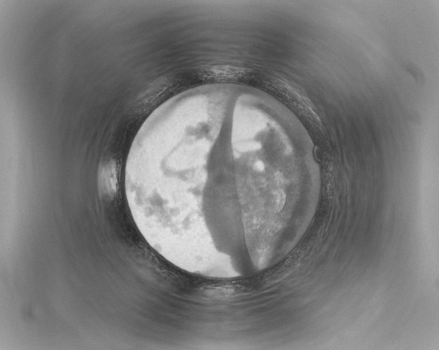 X0000115560075200912041102