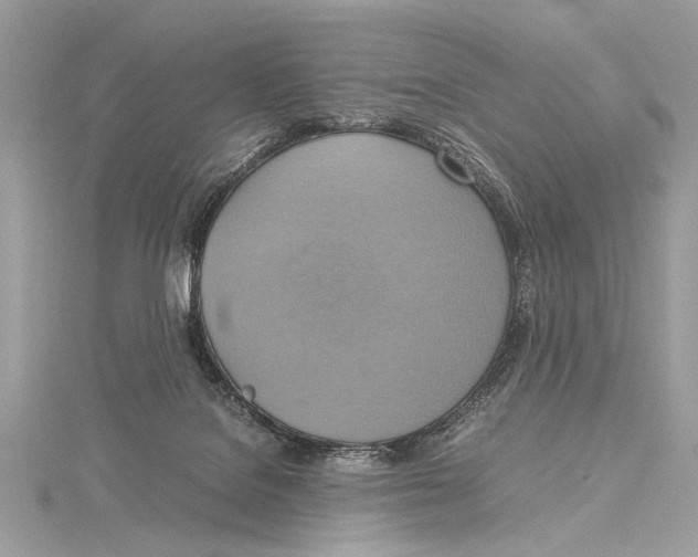 X0000115560076200912041102