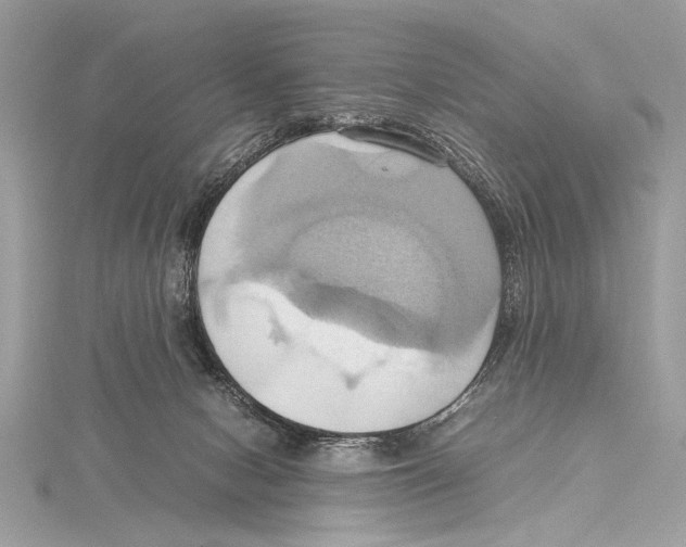 X0000115560078200912041102