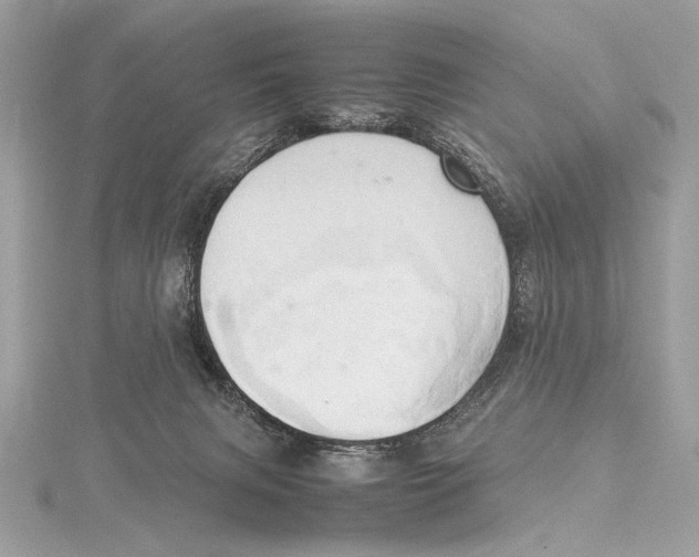 X0000115560079200912041102