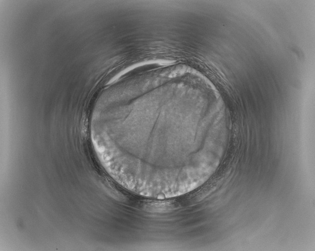 X0000115560081200912041102