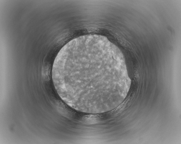 X0000115560082200912041102