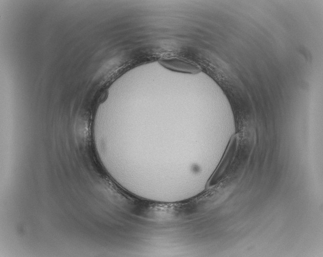 X0000115560084200912041102