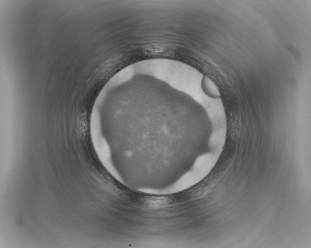 X0000115560085200912041102