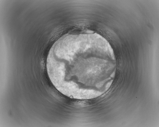 X0000115560086200912041102