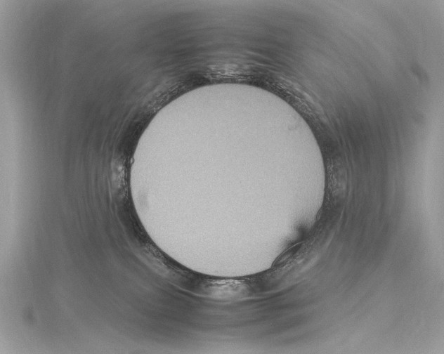 X0000115560087200912041102