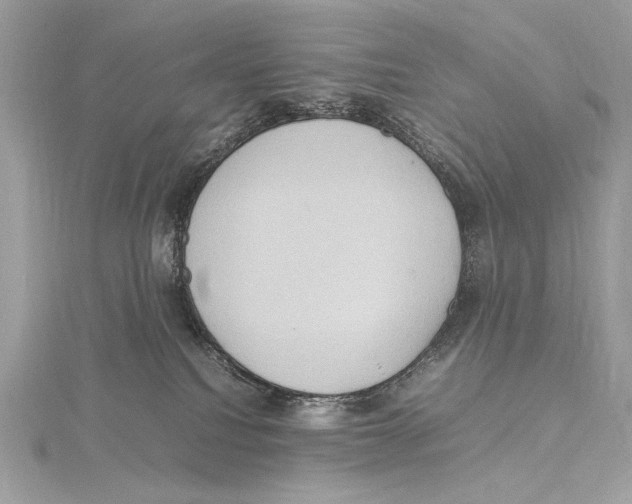 X0000115560088200912041102