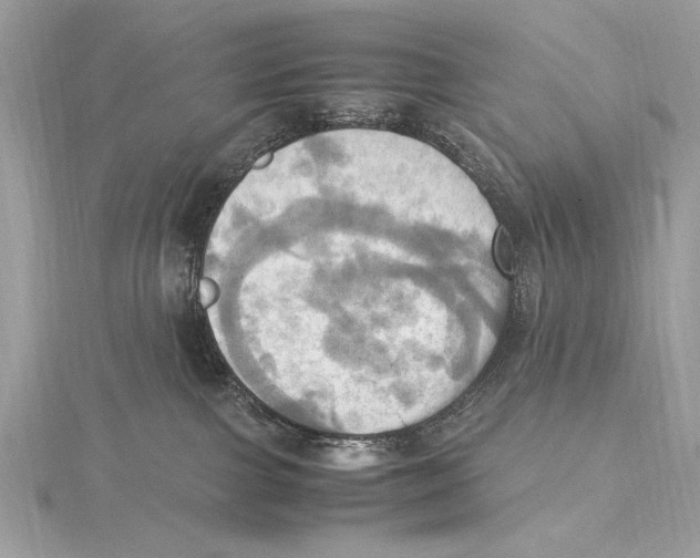 X0000115560091200912041102