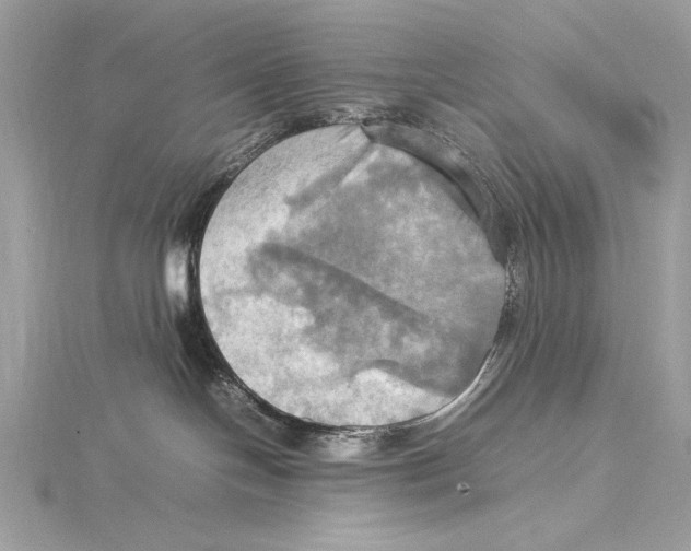 X0000115560094200912041102