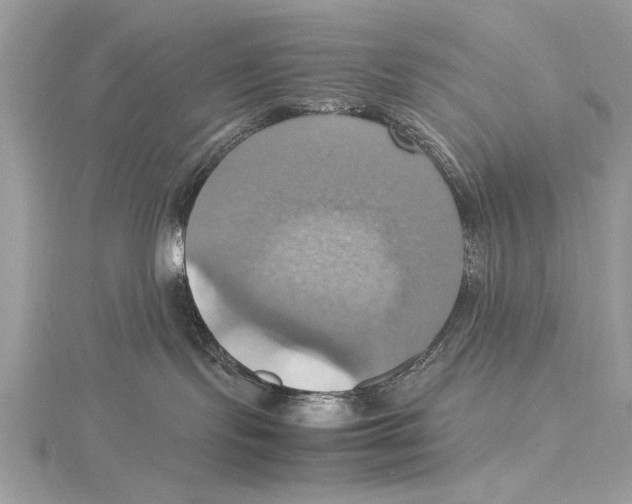 X0000115560095200912041102