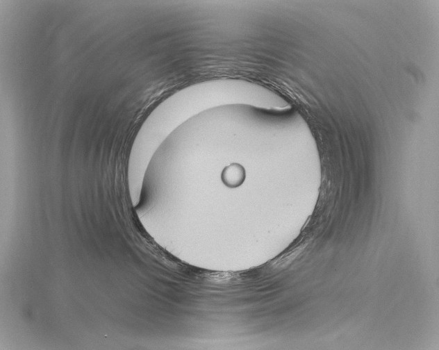 X0000115560096200912041102