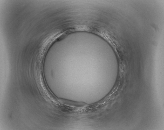 X0000115560097200912041101