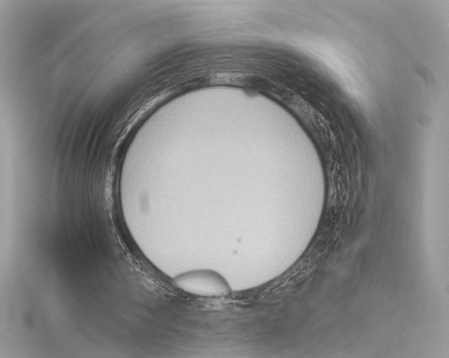 X0000115560098200912041101