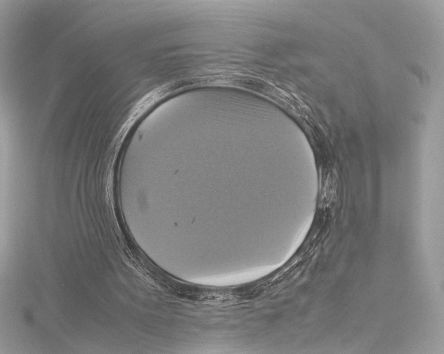 X0000115560099200912041101