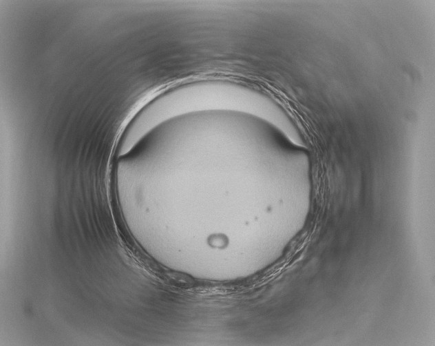 X0000115560100200912041101