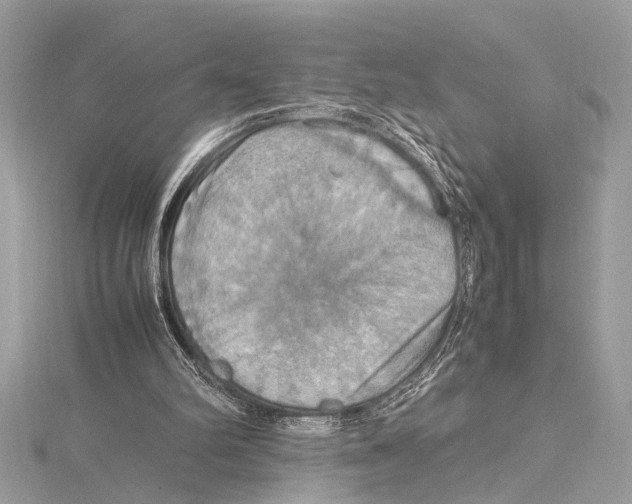 X0000115560102200912041101