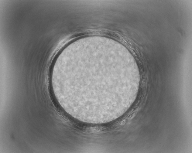 X0000115560103200912041101