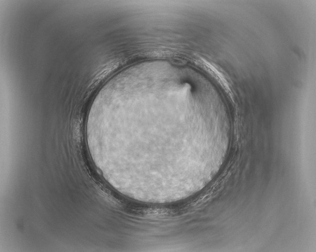 X0000115560105200912041101