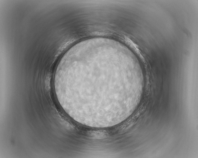 X0000115560106200912041101