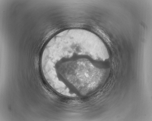 X0000115560107200912041101