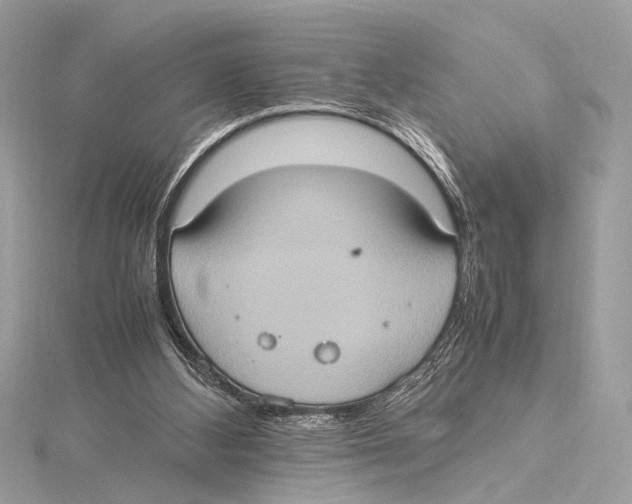 X0000115560108200912041101