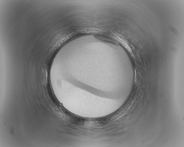 X0000115560109200912041101