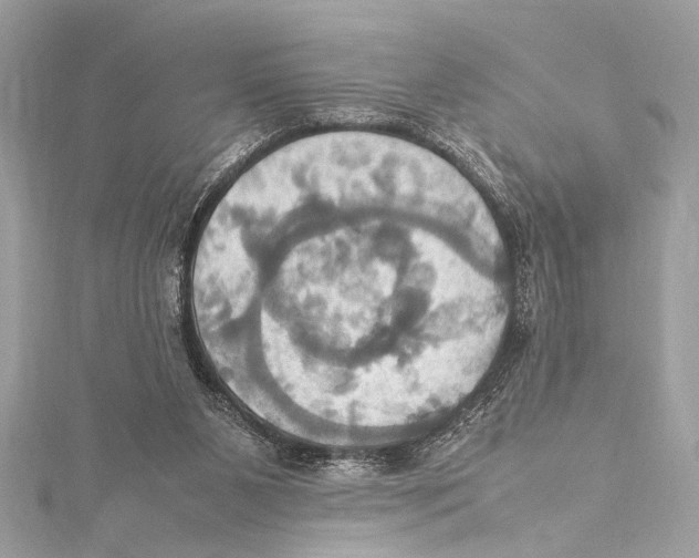 X0000115560111200912041101