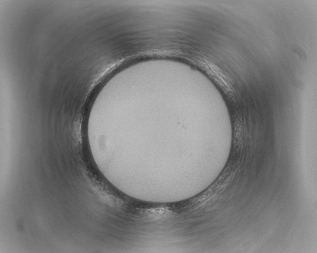 X0000115560112200912041101