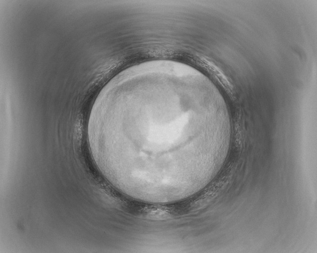 X0000115560113200912041101