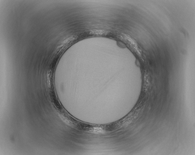 X0000115560114200912041101