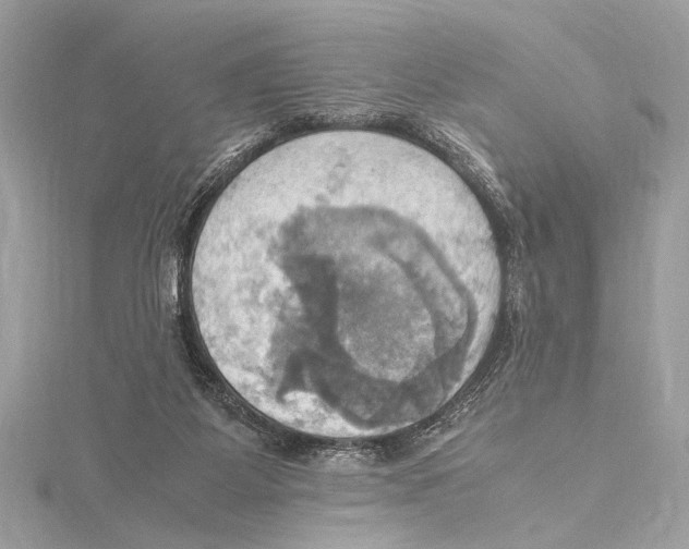 X0000115560115200912041101