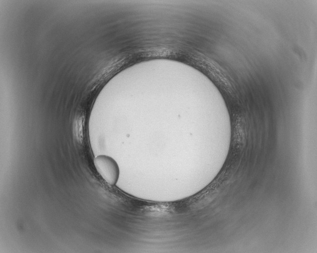 X0000115560118200912041101