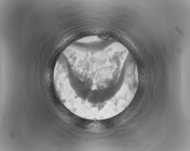 X0000115560119200912041101