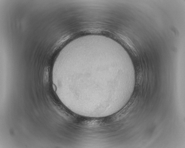 X0000115560120200912041101