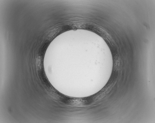 X0000115560121200912041101