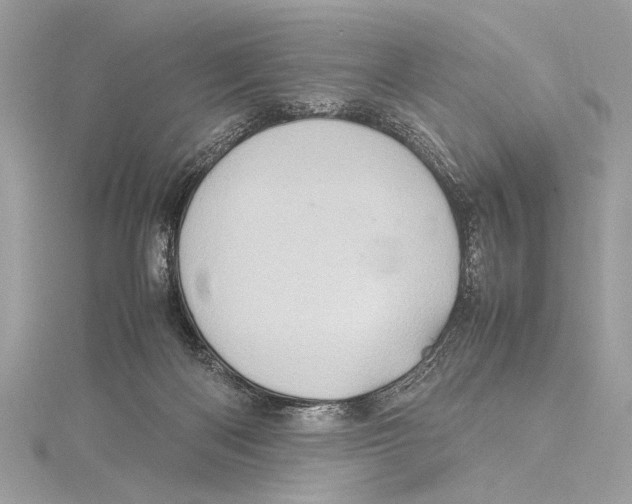 X0000115560122200912041101