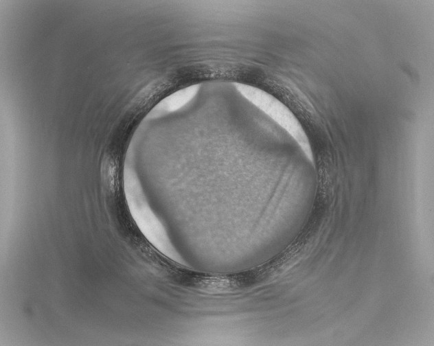 X0000115560123200912041101