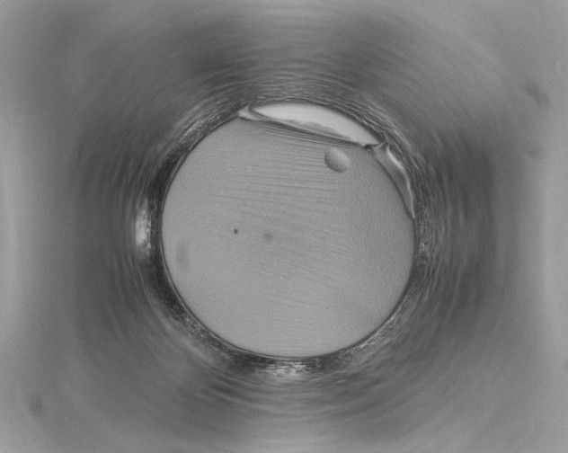 X0000115560124200912041101