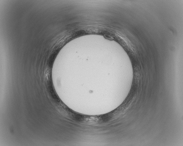 X0000115560125200912041101